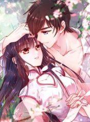 cover_528443_image