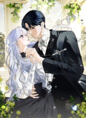 visual_w720